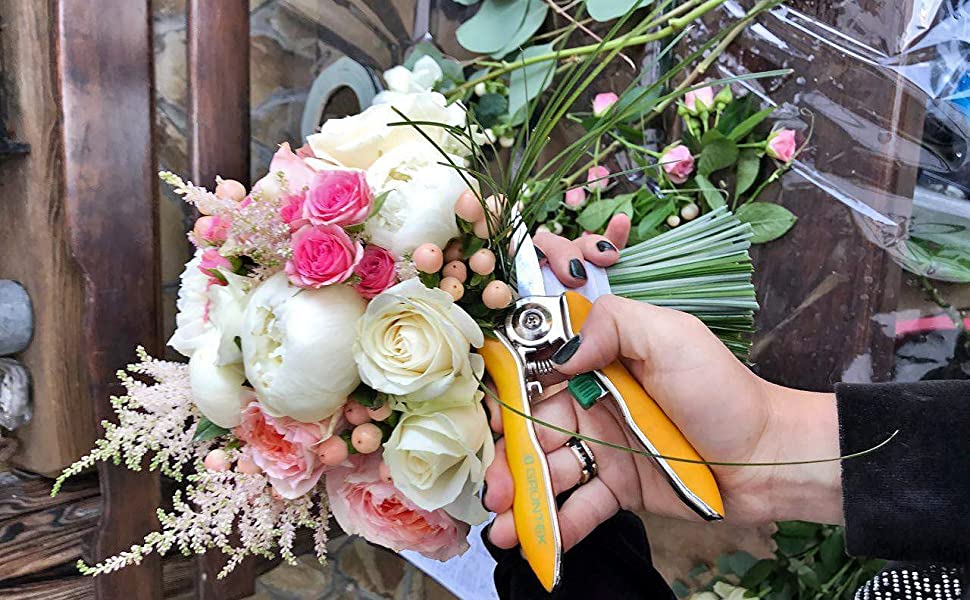 secateur de jardin fleurs