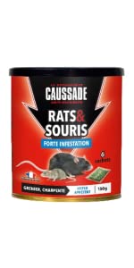 rats souris