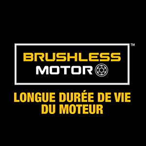 brushless motor