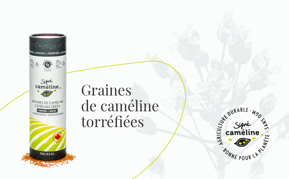 Graines de caméline torréfiées