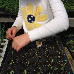 kids gardening