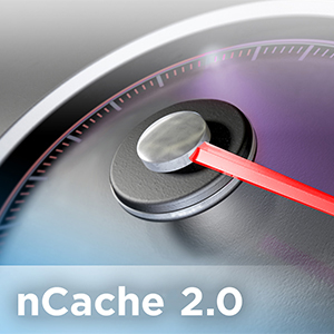 nCache 2.0