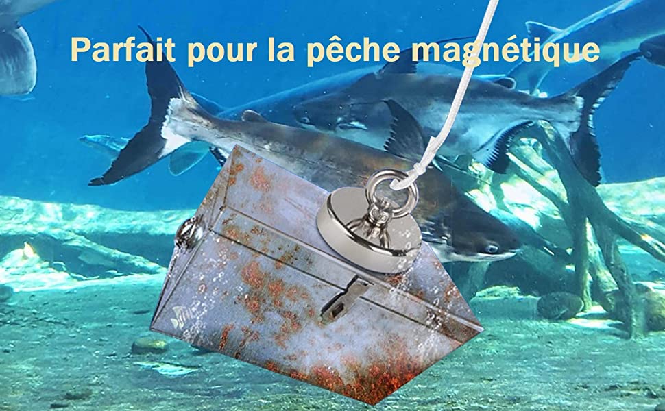 Parfait pour la pêche magnétique.