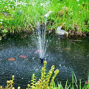 Pompe de fontaine, pompe de bassin.