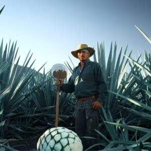 Agave