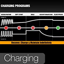 Chargeur de batterie 12v