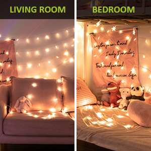 photo clips string light