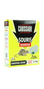 SOURIS PATES