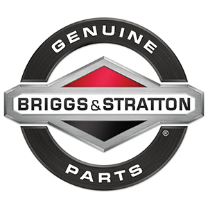 Briggs & Stratton Pièces d'origine