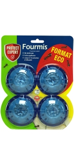 fourmis