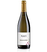 Canti Moscato d'Asti DOCG Vin Doux Petillant Italien 1 Bouteille x 75 cl