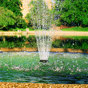 Pompe de fontaine, pompe de bassin.