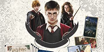 Harry Potter, Panini, magie