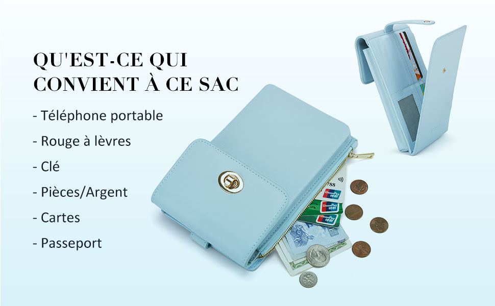 TITULAIRE DE LA CARTE QU'EST-CE QUI CONVIENT A CE SAC