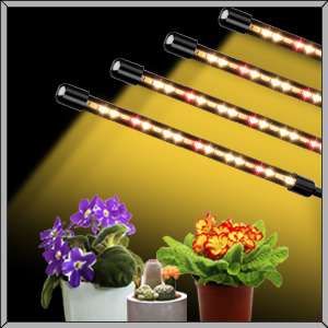 plant lampe