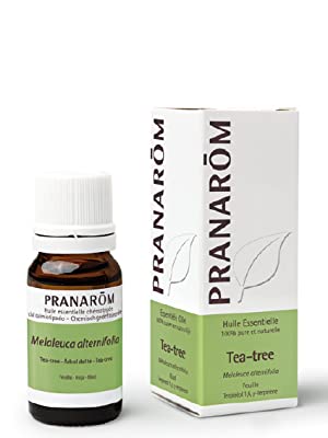 Pranarôm, huile essentielle, Tea-tree, Arbre à thé,