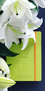 Rhodia