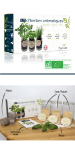 kit herbes aromatiques