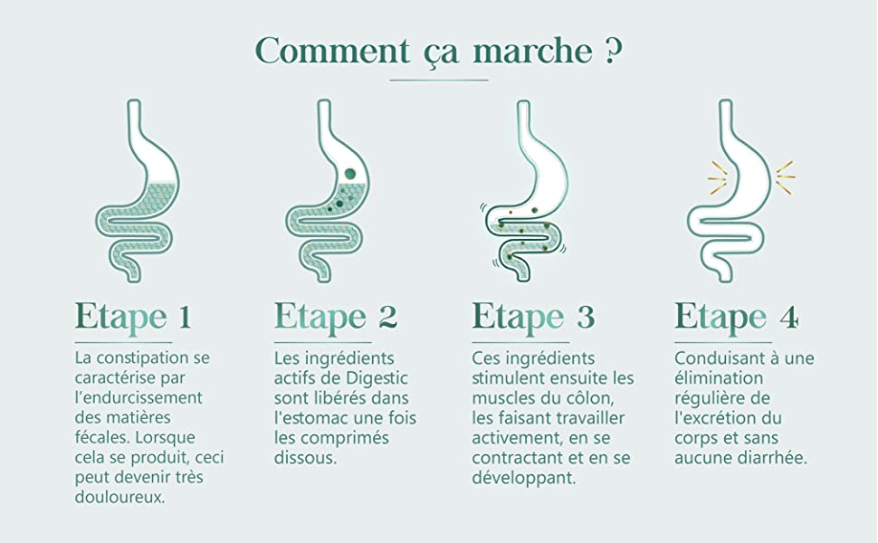 digestic comment ca marche ?