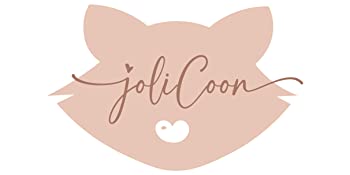 JoliCoon Pochettes pour carnet de maternité - Cartes de jalon - Cadeau de grossesse