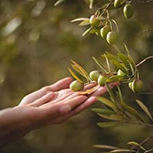 olives espagne maroc noires vertes confites grecque dénoyautées entières apéro tapenade recette