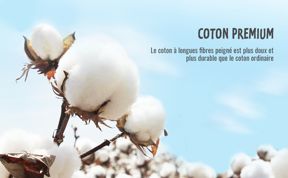 Coton PremiumCoton peigné à longues fibres