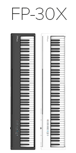 FP-X Comparison Grid FP-30X