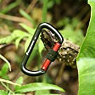 A durable Carabiner