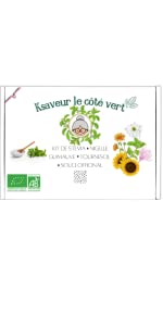 KIT GRAINES FLEURS