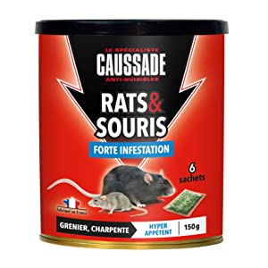 rats souris céréales