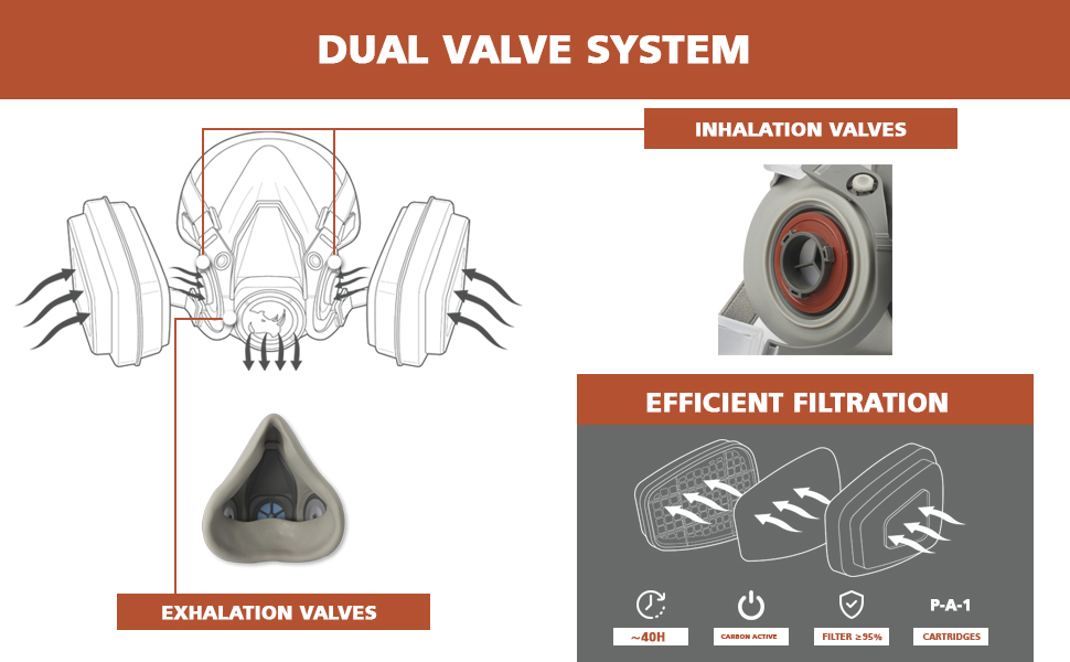 dual vavlve system