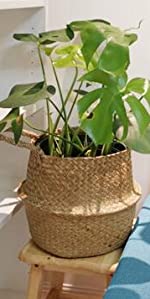 White Seagrass Basket