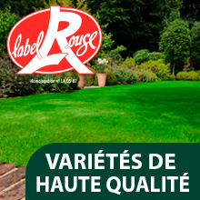 VARIÉTÉS HAUTE QUALITÉ