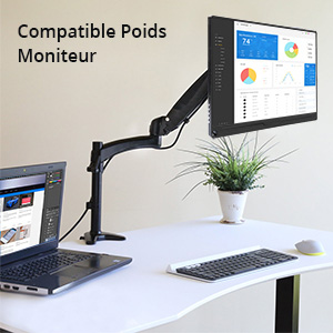 moniteur portable