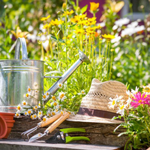 Jardin de jardiniers avec fleurs