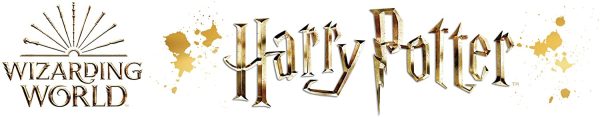 Harry Potter Déguisement – Image 7