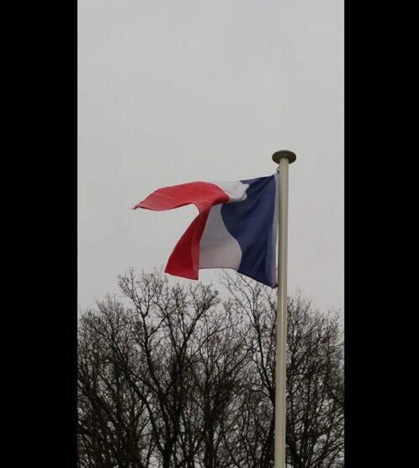 hollylife Drapeau Francais 150 x 90 cm Deux œillets métalliques Fanion France Tissue à colorier Bleu Blanc Rouge Couleurs Vives Parfait Les Festivals, manif, dans Le Jardin à l'extérieur – Image 4