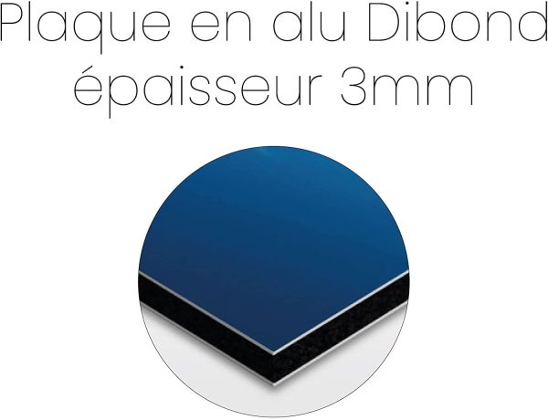 Plaque de Rue décorative en Aluminium Personnalisée pour intérieur et extérieur 20x15cm Alu Brossé