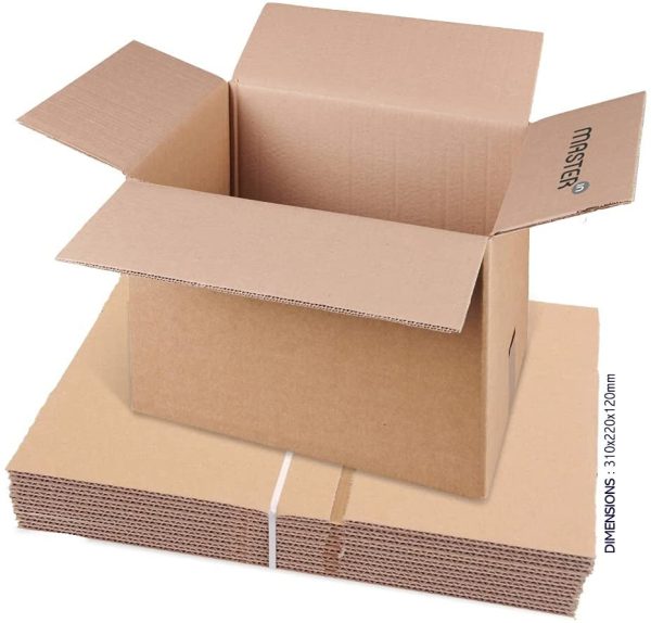 Caisse carton double cannelure Master'in - Brune - 310x220x120mm - Lot de 15 caisses