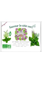 KIT HERBES AROMATIQUES