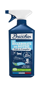 briochin