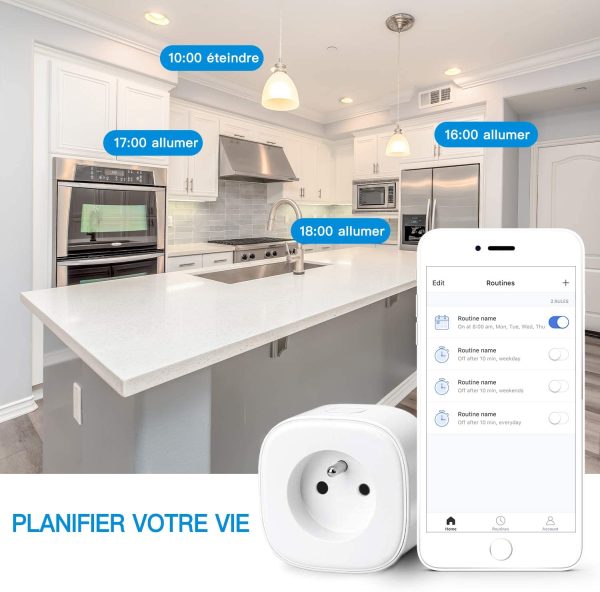 Prise Connectée WiFi (Type E), Prise Intelligente Compatible avec Alexa, Google Home et SmartThings, Prise Française Programmable avec Contrôle à Distance, Contrôle Vocal et Fonction de Temps (1)