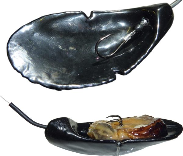 GAUTIER FISHING - Leurre moule plateau 50gr - porte appât - Tenya méditerranéen pêche sparidé dorades royales – Image 6