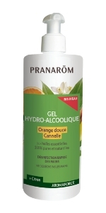 Gel Hydro Alcoolique Orange Douce - Cannelle 500 ml.jpg