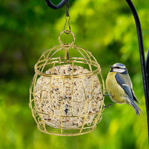 Mangeoire À Oiseaux