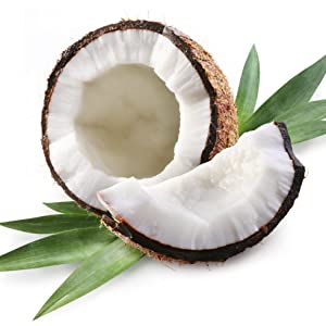 noix de coco