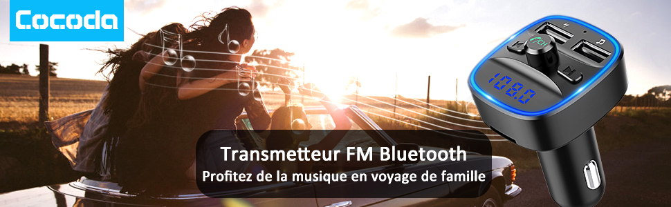 transmetteur fm