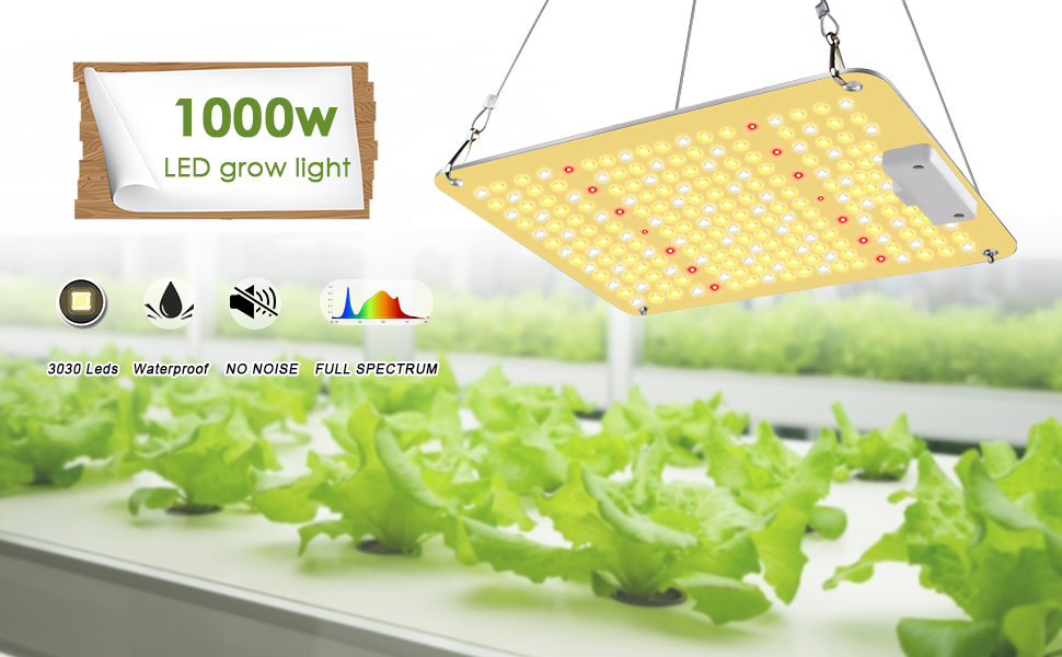 1000w Lampe pour Plante