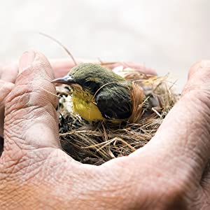 Dehner Natura Nourriture toute l'année