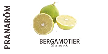 Bergamotier